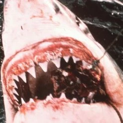 Der Weisse Hai (1975) -Blu-ray 2016 Sales Store 10308797 10 92