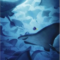 Findet Dorie (2016) (Limited Edition, Steelbook, Blu-ray 3D + 2 Blu-rays)