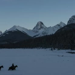 The Revenant - Der Rückkehrer (2015) -Blu-ray 2016 Sales Store 10359652 11 92