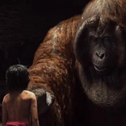 The Jungle Book (2016) 21 The Jungle Book (2016) -Blu-ray 2016 Sales Store 10363700 12 92