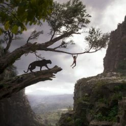 The Jungle Book (2016) 14 The Jungle Book (2016) -Blu-ray 2016 Sales Store 10363700 5 92