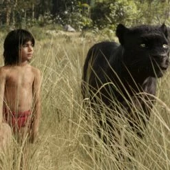 The Jungle Book (2016) 15 The Jungle Book (2016) -Blu-ray 2016 Sales Store 10363700 6 92