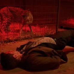 Schändung (2014) 17 Schändung (2014) -Blu-ray 2016 Sales Store 15081077 6 92