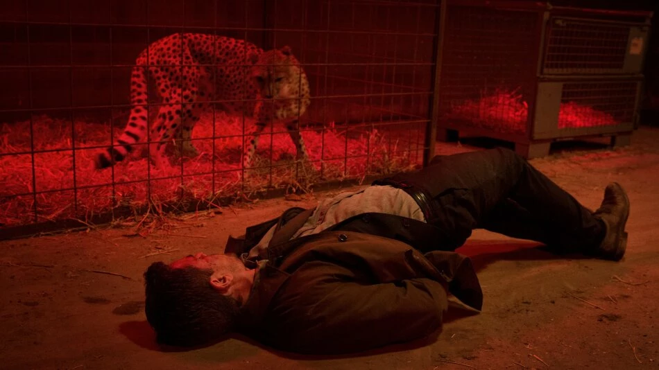 Schändung (2014) 7 Schändung (2014) – Image 5