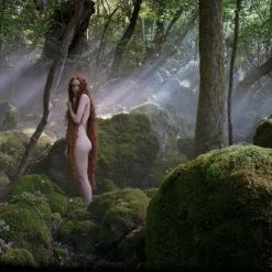 Das M&auml;rchen Der M&auml;rchen (2015) -Blu-ray 2016 Sales Store 15083619 11 92