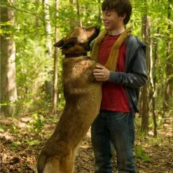 Max - Bester Freund. Held. Retter. (2015) -Blu-ray 2016 Sales Store 15105293 5 92