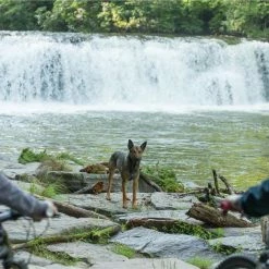 Max - Bester Freund. Held. Retter. (2015) -Blu-ray 2016 Sales Store 15105293 9 92