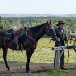 Forsaken (2015) -Blu-ray 2016 Sales Store 15118630 4 92