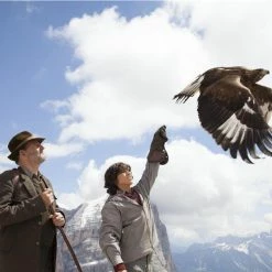 Wie Brüder Im Wind (2015) -Blu-ray 2016 Sales Store 15188622 8 92