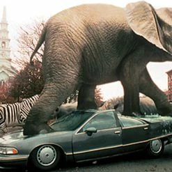 Jumanji (1995) (Anniversary Edition, Steelbook) -Blu-ray 2016 Sales Store 15192978 9 92