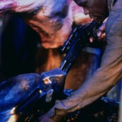 Predator 2 (1990) (Uncut) -Blu-ray 2016 Sales Store 15241320 6 92