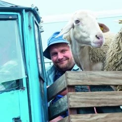 Ich Bin Dann Mal Weg (2015) 13 Ich Bin Dann Mal Weg (2015) -Blu-ray 2016 Sales Store 15245338 6 92