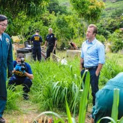 Hawaii Five-O - Staffel 5 (2010) (5 Blu-rays) -Blu-ray 2016 Sales Store 15263780 5 92