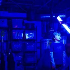 Lights Out (2016) 20 Lights Out (2016) -Blu-ray 2016 Sales Store 15309159 9 92