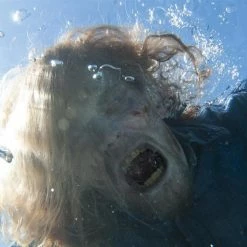 Fear The Walking Dead - Staffel 2 (Uncut, 4 Blu-rays) 12 Fear The Walking Dead - Staffel 2 (Uncut, 4 Blu-rays) -Blu-ray 2016 Sales Store 15336494 5 92