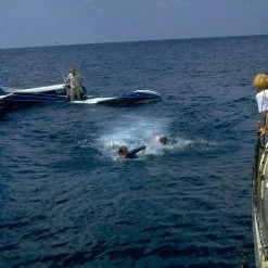 Der Weisse Hai 4 - Die Abrechnung (1987) 23 Der Weisse Hai 4 - Die Abrechnung (1987) -Blu-ray 2016 Sales Store 15380202 10 92