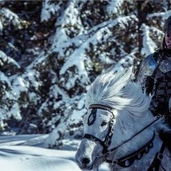 The Last King - Der Erbe Des K&ouml;nigs (2016) (Steelbook) -Blu-ray 2016 Sales Store 15405445 4 92