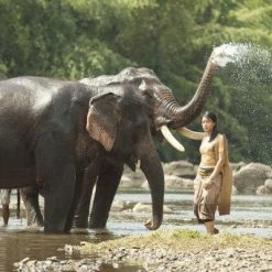 Hard Target 2 (2016) -Blu-ray 2016 Sales Store 15410791 7 92