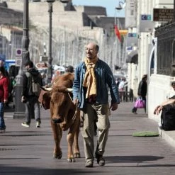 Unterwegs Mit Jacqueline (2016) 12 Unterwegs Mit Jacqueline (2016) -Blu-ray 2016 Sales Store 15470105 6 92